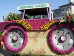 Трактор из цветов торгового центра «Галерея»