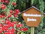 Buntengarten. У входа в рододендроновый сад
